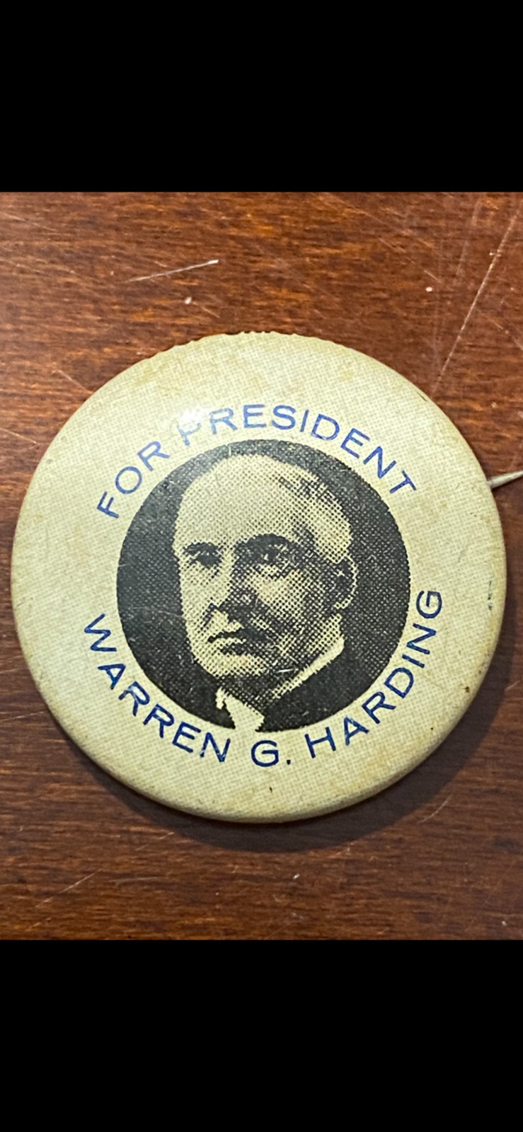 Warren G Harding for President Pinback Button Pin Political Election Campaign
