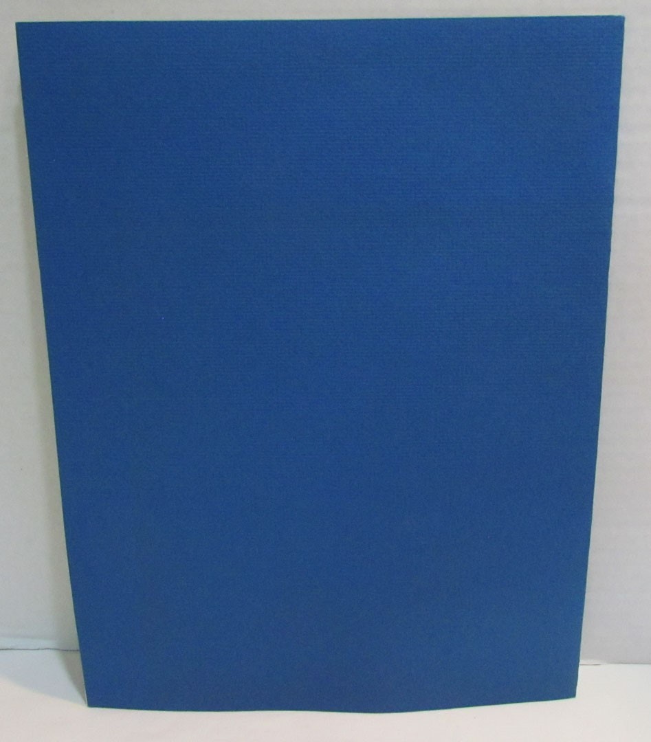 PRESIDENT RONALD REAGAN 1981 INAUGURAL PROGRAM BOOK VINTAGE ORIGINAL BUSH