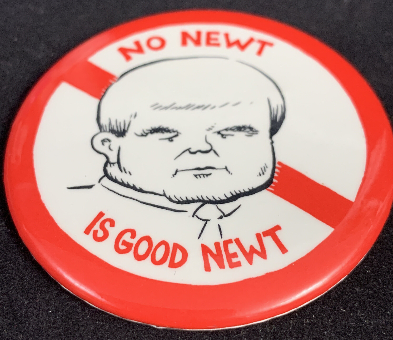No Newt is Good Newt Newt Gingrich Political Button Politics Election KG