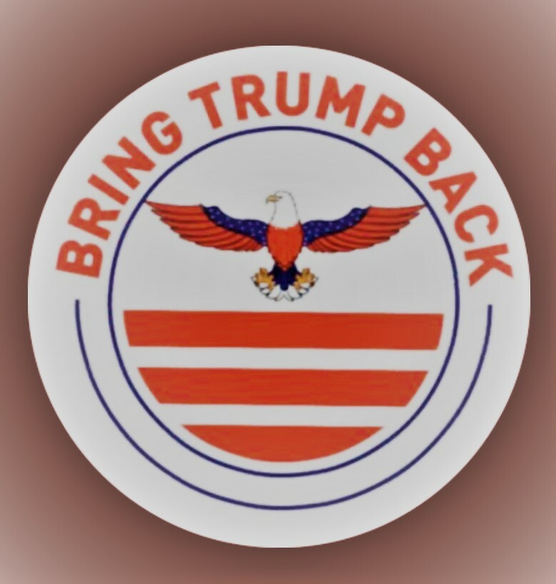 Donald Trump 2024 Sticker “Bring Trump Back” Logo