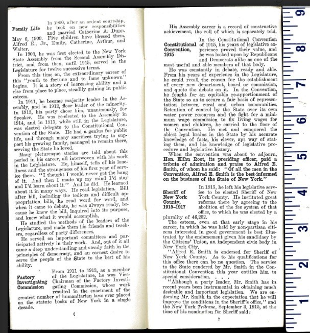 1928 WHAT EVERYBODY WANTS TO KNOW GOV ALFRED SMITH DEMOCRAT NOMINEE HOOVER NY