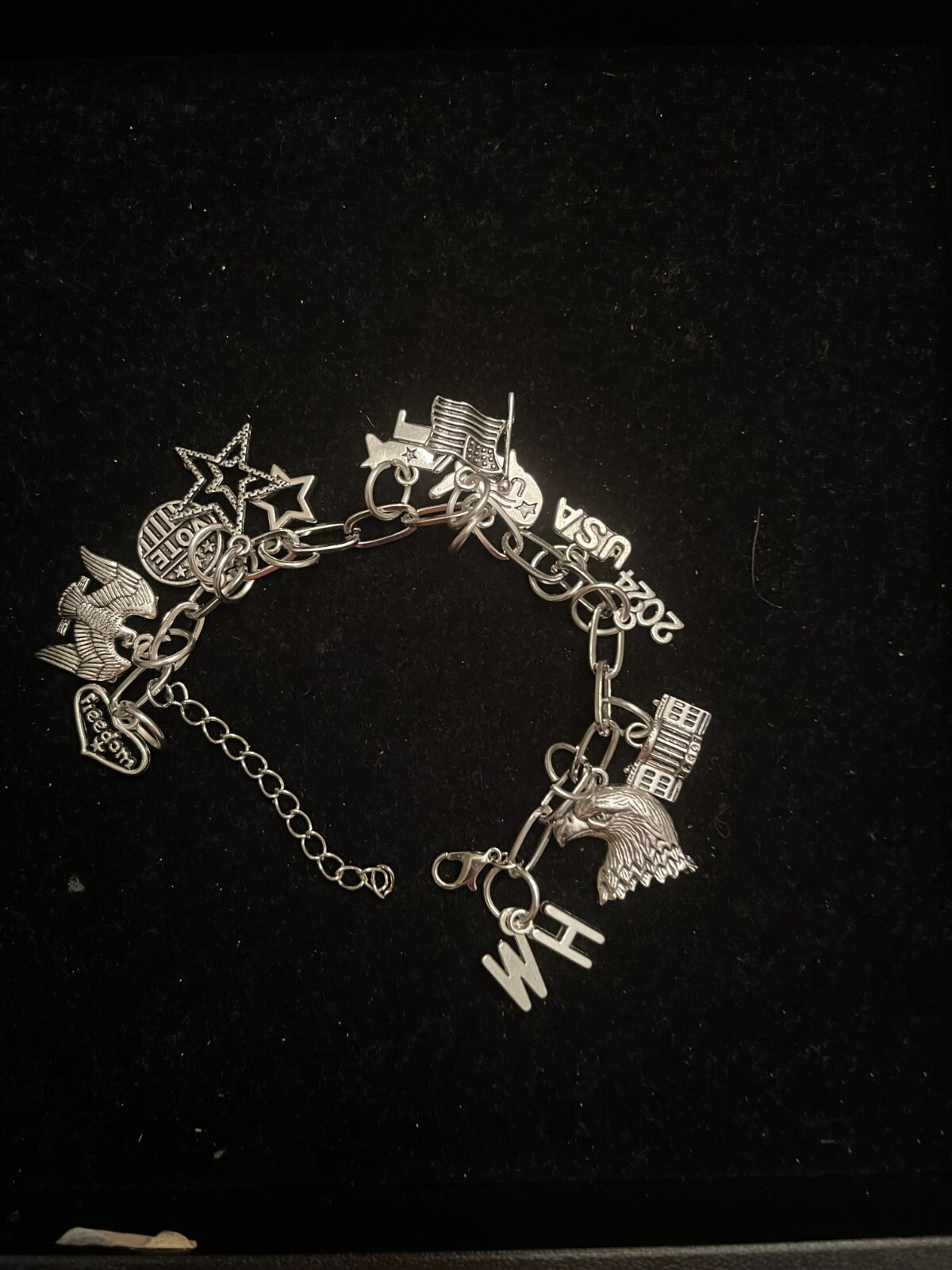 DEMOCRAT silver Tone Bracelet 6″ with 2″ extender
