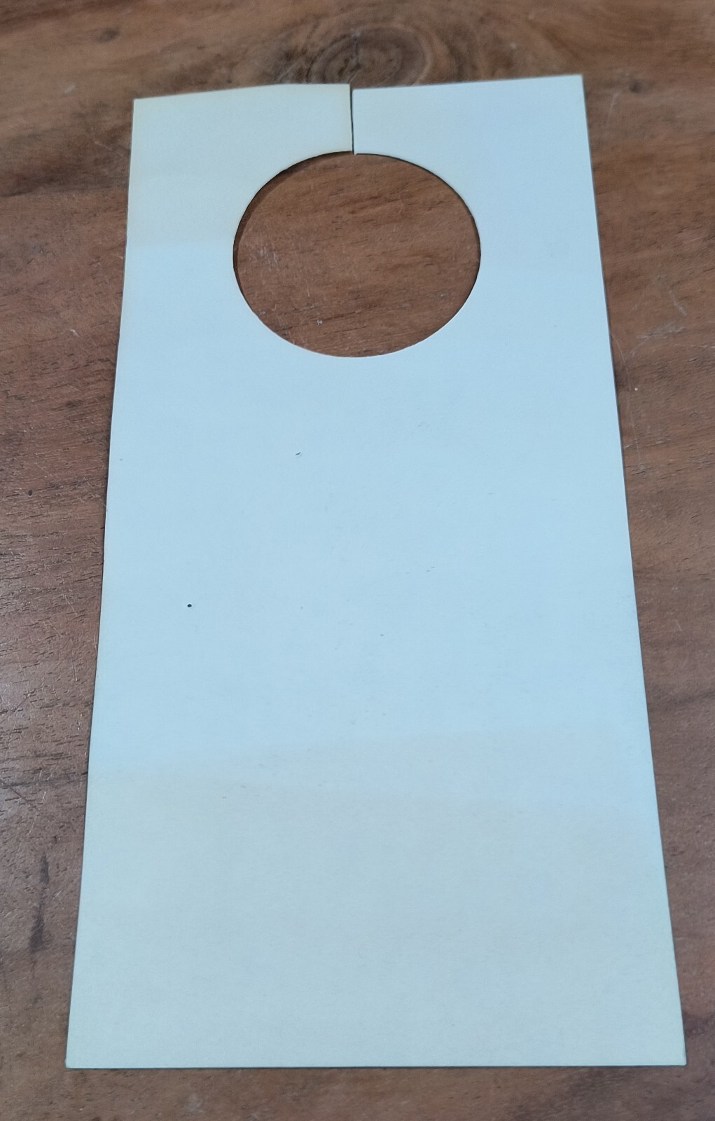 1976 Jimmy Carter for President Brochure John Tunney, James Corman & Door Hanger