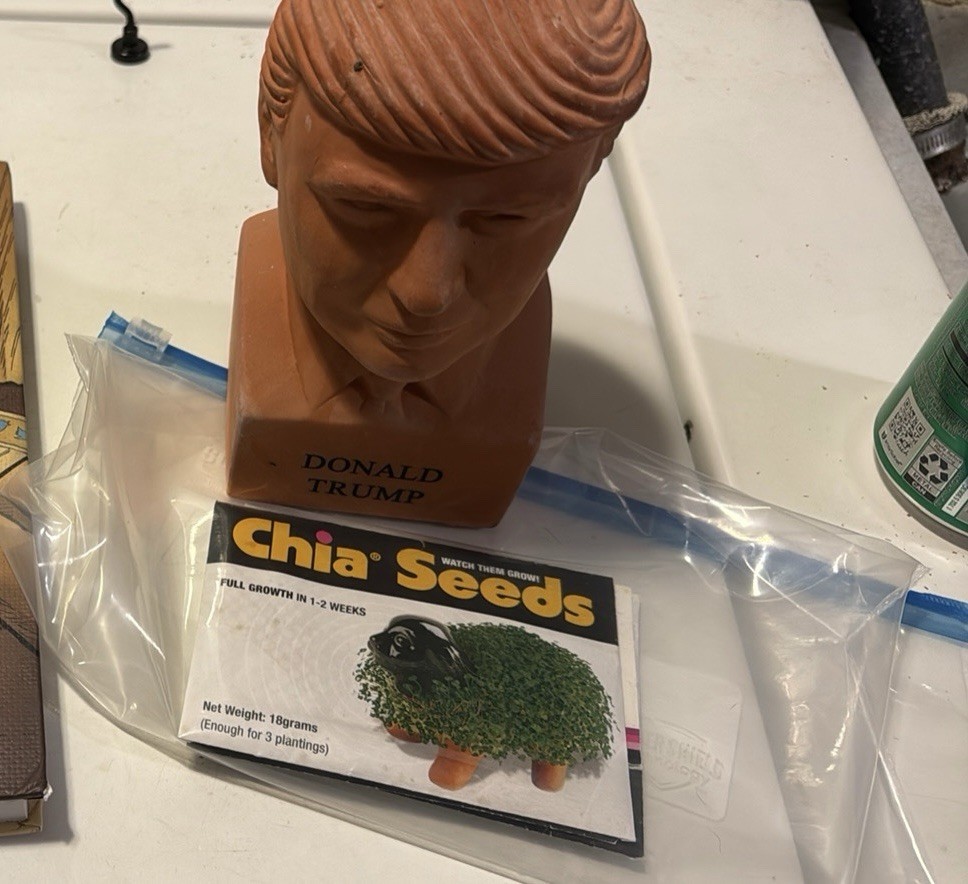Donald Trump Chia Pet Freedom of Choice