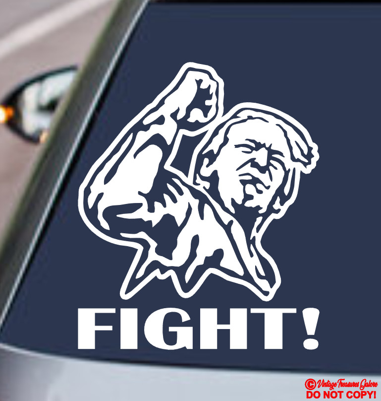 PRESIDENT DONALD TRUMP RAISED FIST FIGHT Vinyl Decal Sticker Car 2024 YOU MISSED