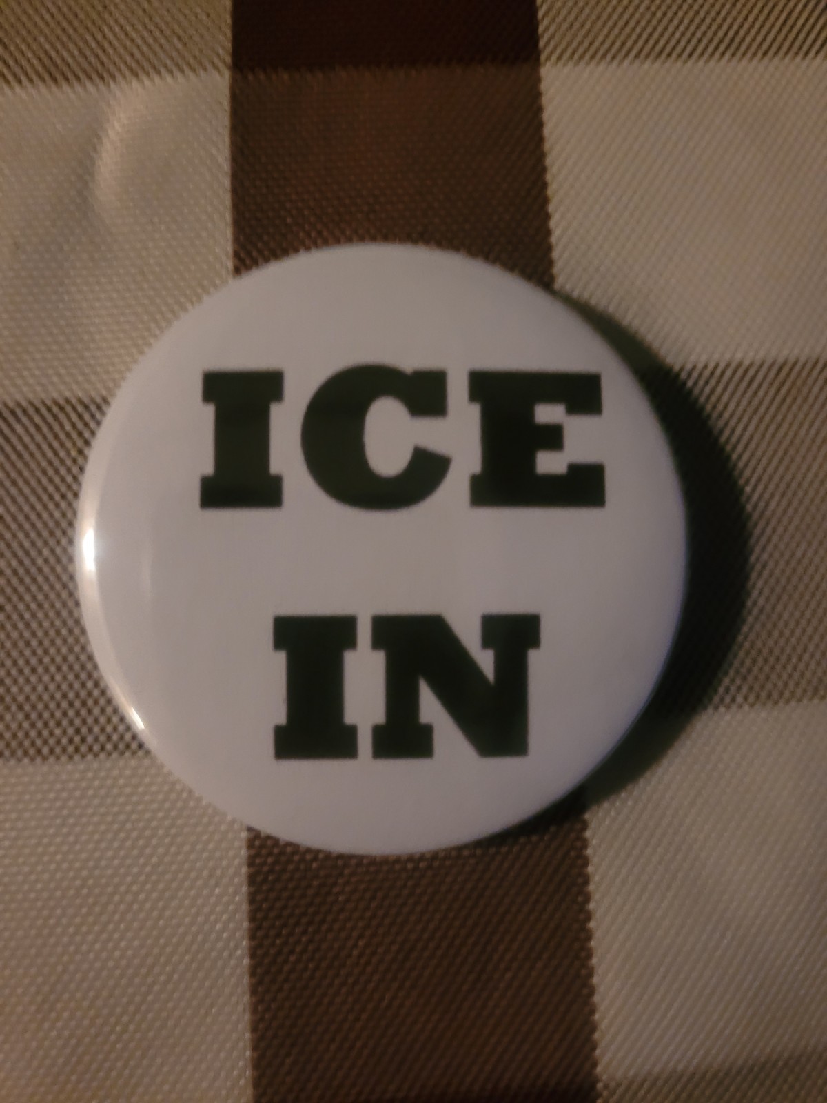 ICE IN ANTI ICE OUT PROTESTORS BUTTON PIN 2 1/4″ ROUND