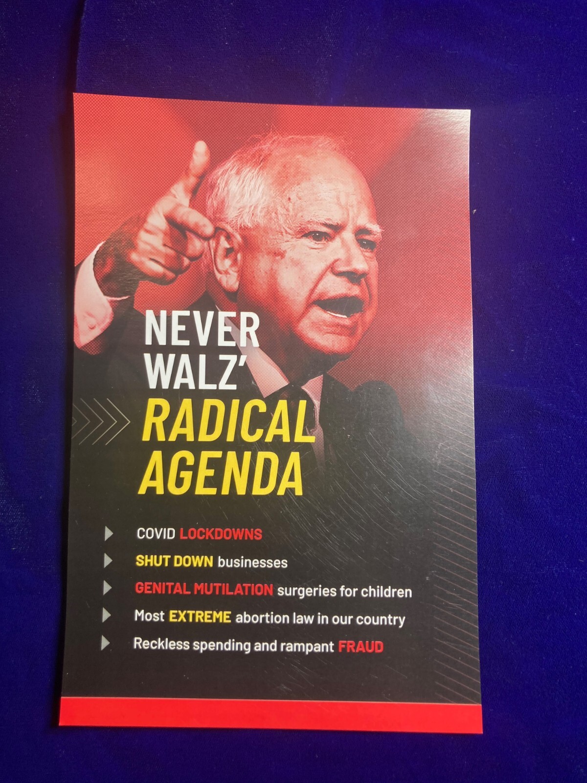 Tim Walz Anti fan Never Walz From Minnesota State Fair Kamala Harris Vp Rare…