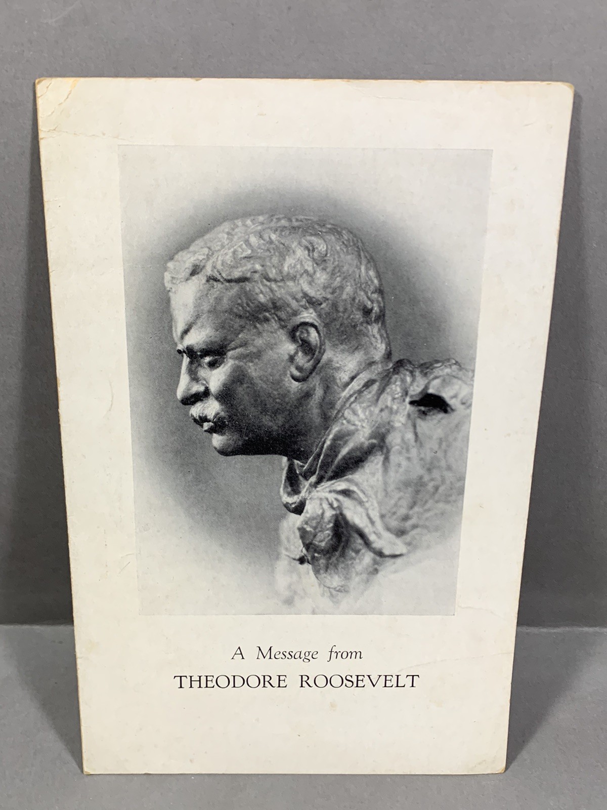 A Message From Teddy Roosevelt Campaign Quotes Pamphlet President Paper