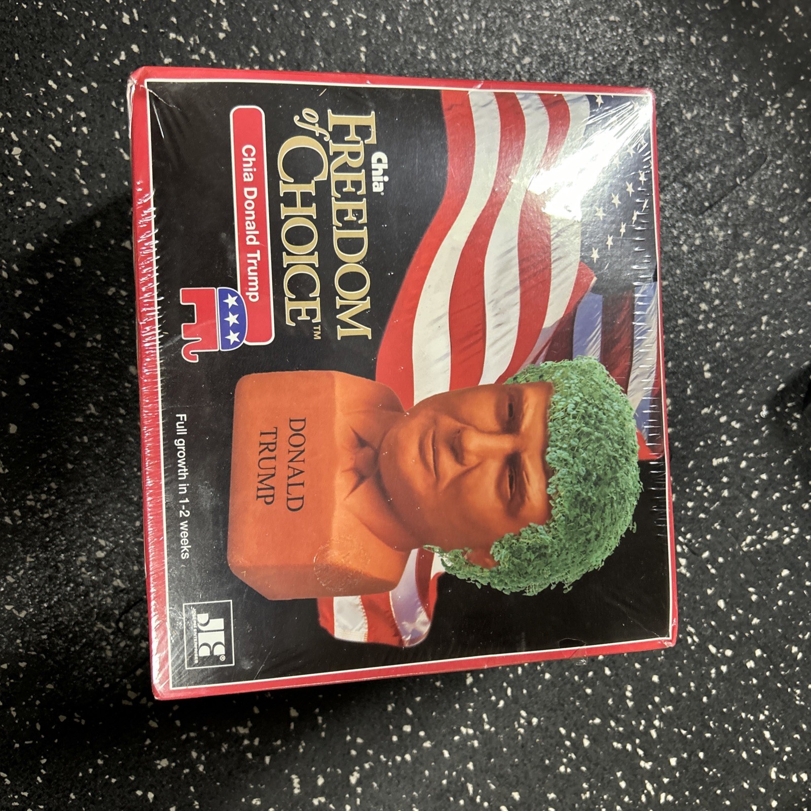 Donald Trump Chia Pet 2016 Freedom of Choice NEW IN BOX Handmade Pottery Planter