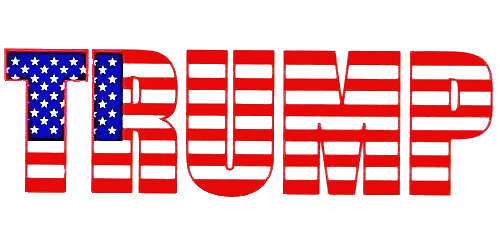 TRUMP Bumper Sticker