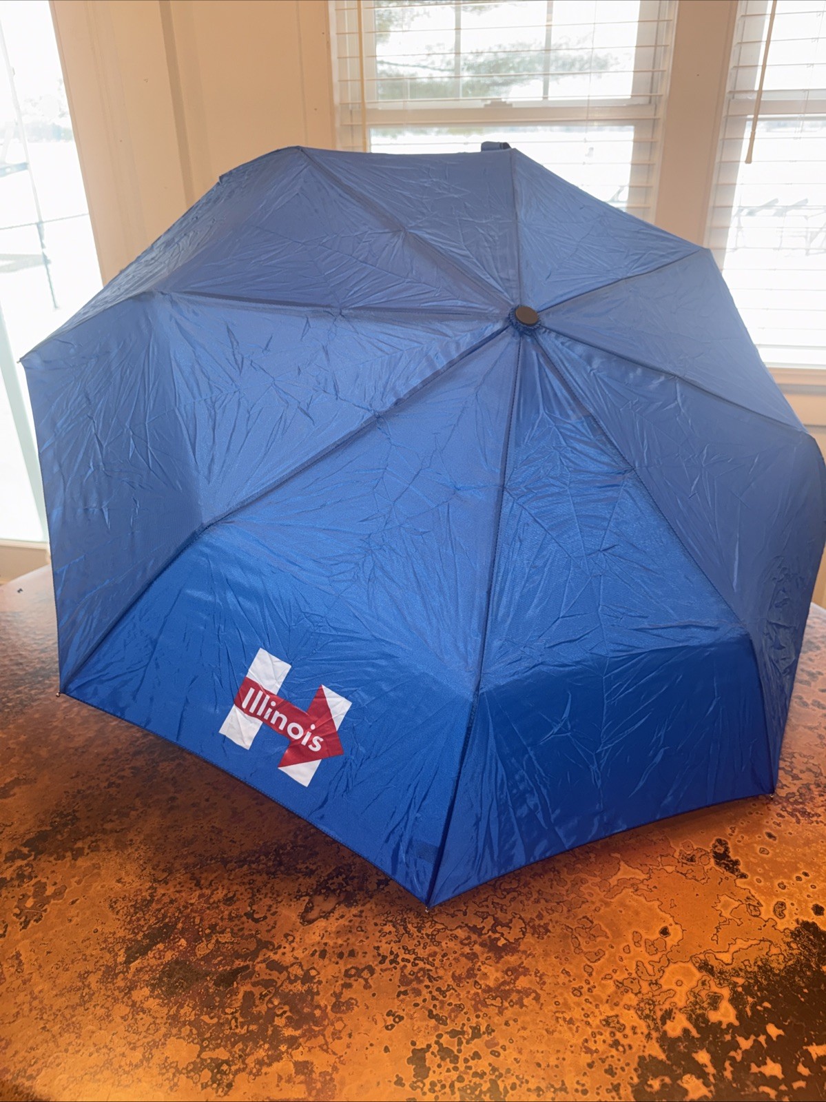Hillary Clinton Illinois Delegate Umbrella DNC Democratic National Convention
