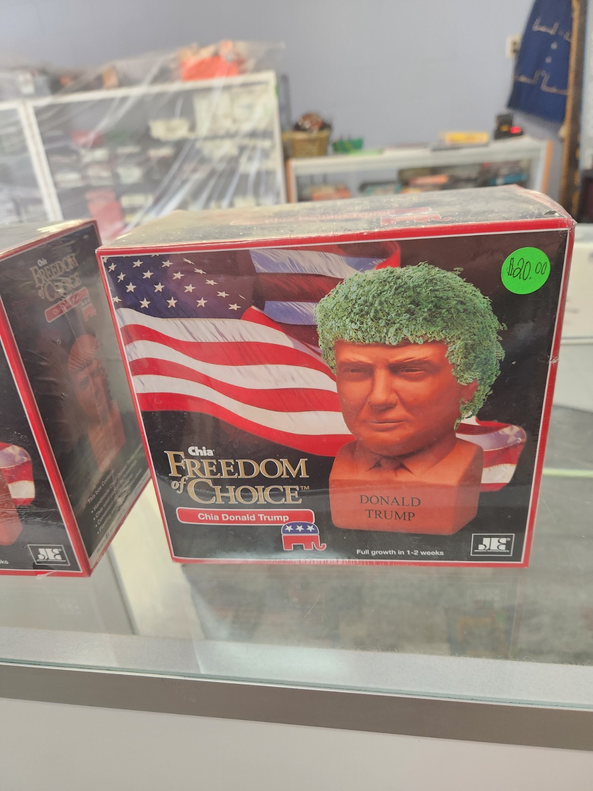 New Sealed Donald Trump Chia Pet, Freedom of Choice 2016 Chia Donald Trump USA