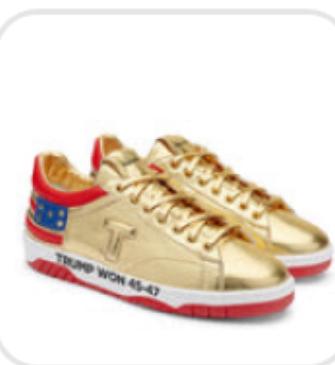 Get Trump Sneakers “he Won” Good Lows Size 11 Men