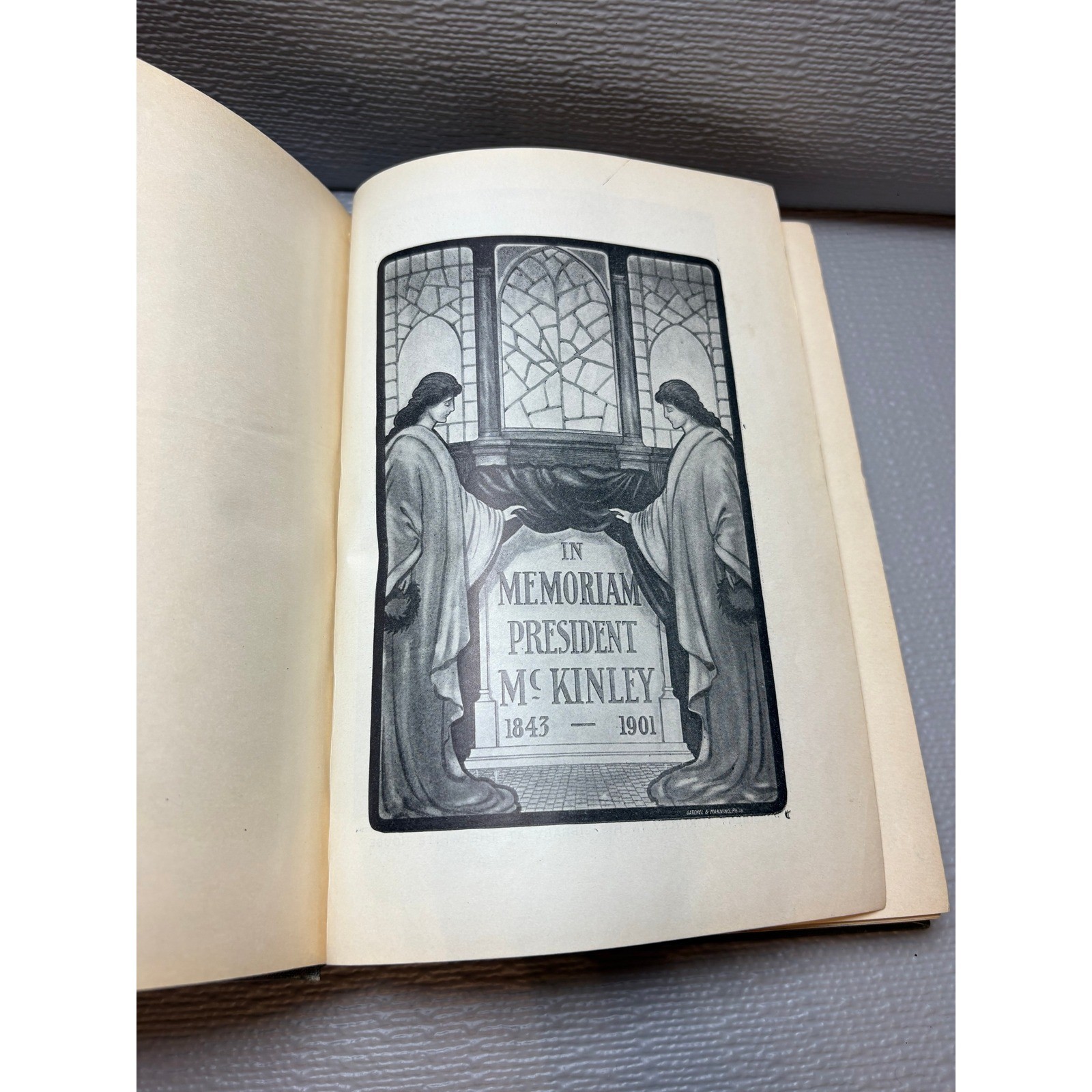 Memorial Life of William McKinley Our Martyred President Col G W Townsend 1901
