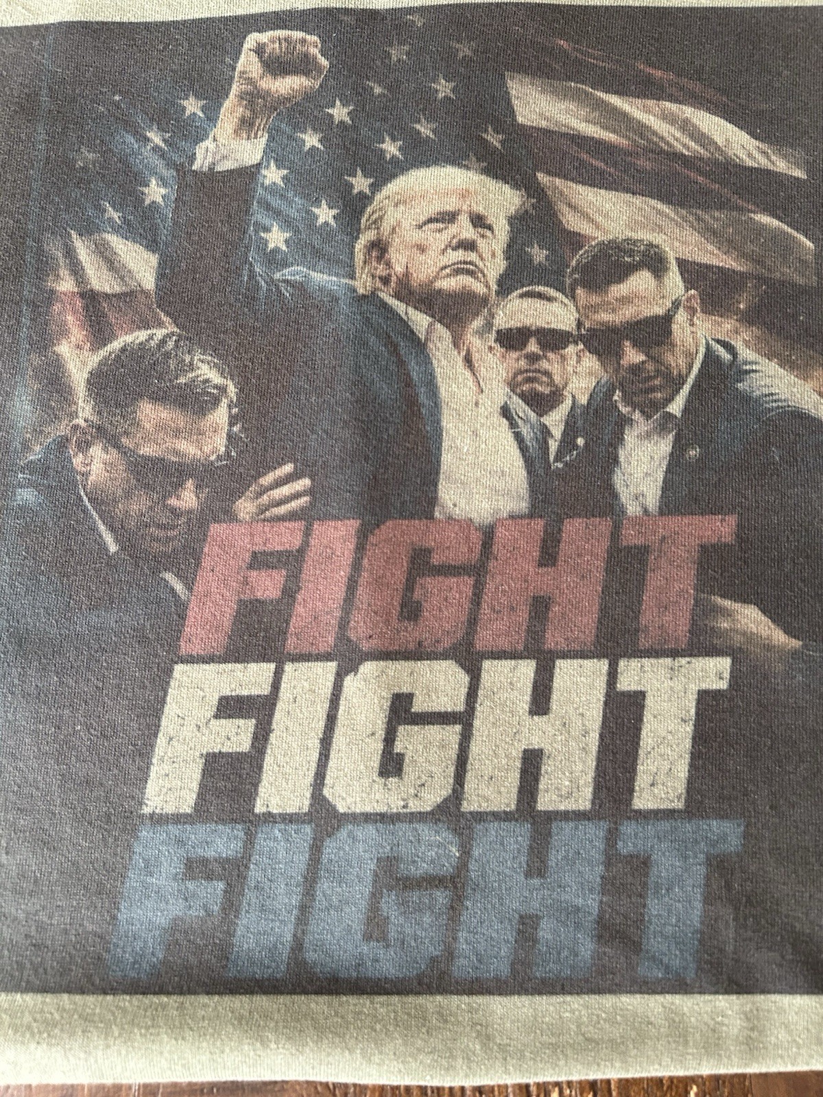 FIGHT FIGHT FIGHT Politics Graphic T-Shirt, Donald Trump 2024 Campaign, USA