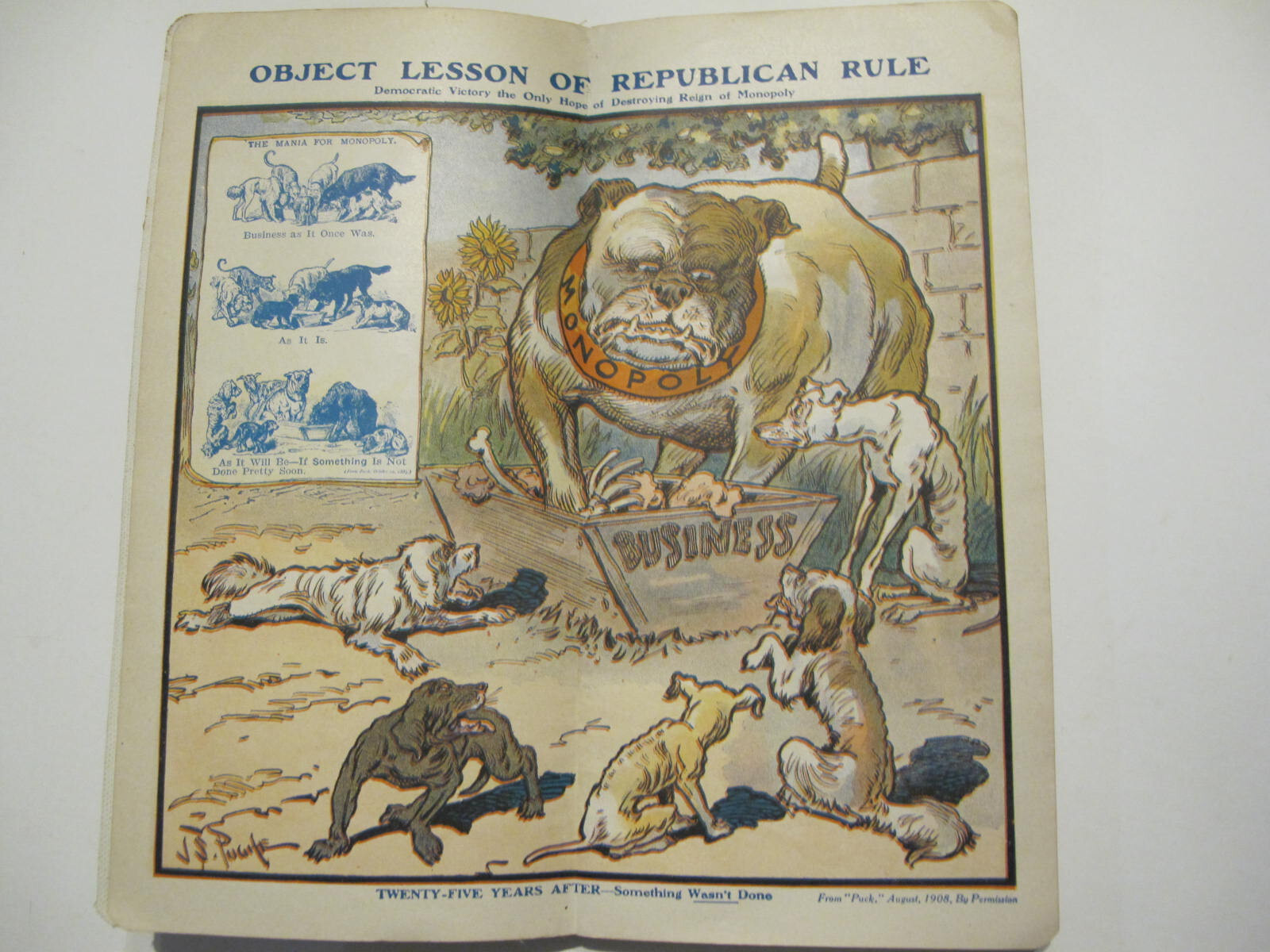 ORIGINAL CAMPAIGN TEXT BOOK DEMOCRATIC PARTY OF THE UNITED STATES 1908 289 PAGES