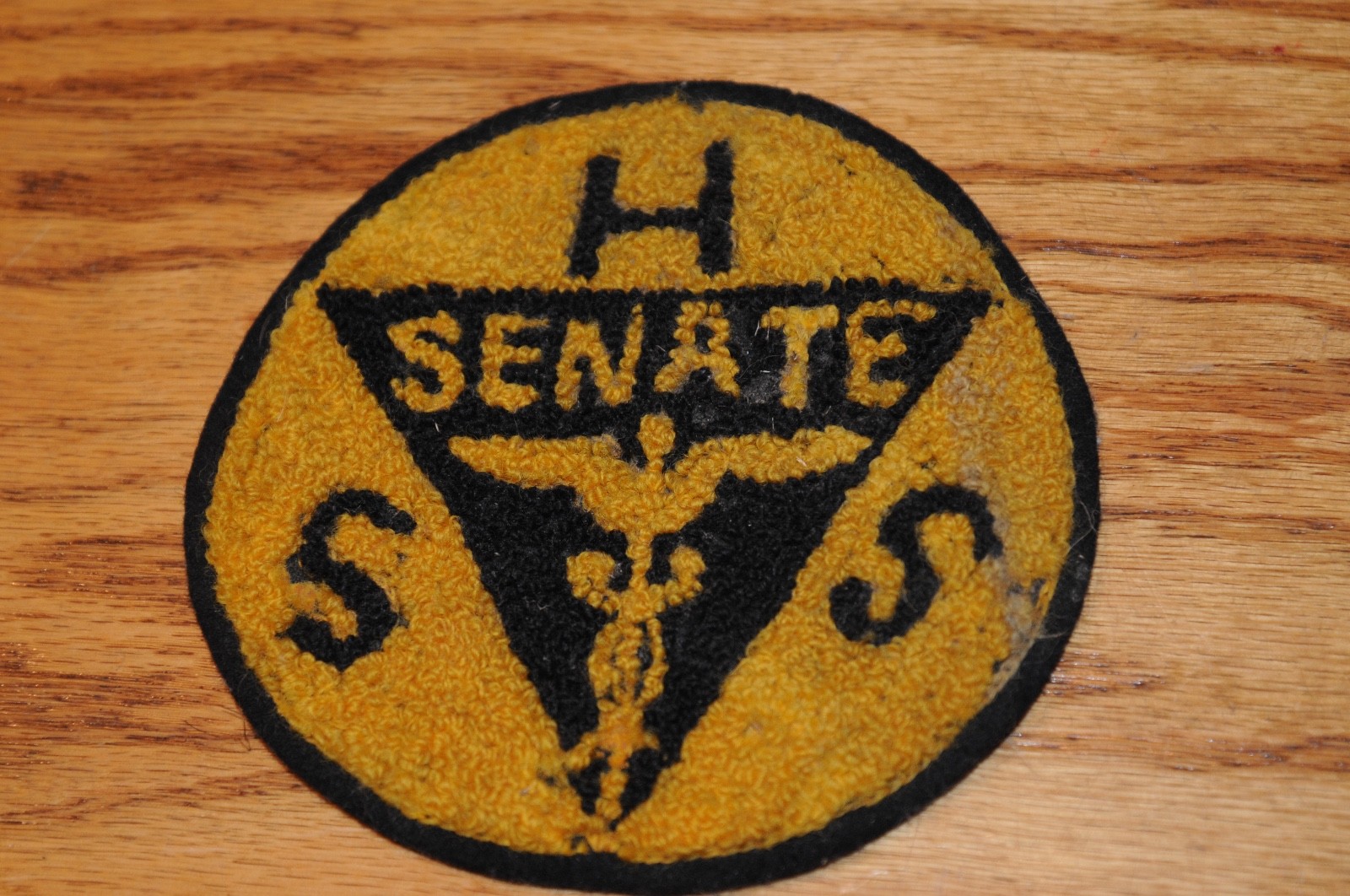 Vint. Rare Health Services Patch HSS Senate Historical Memorabilia Political US*
