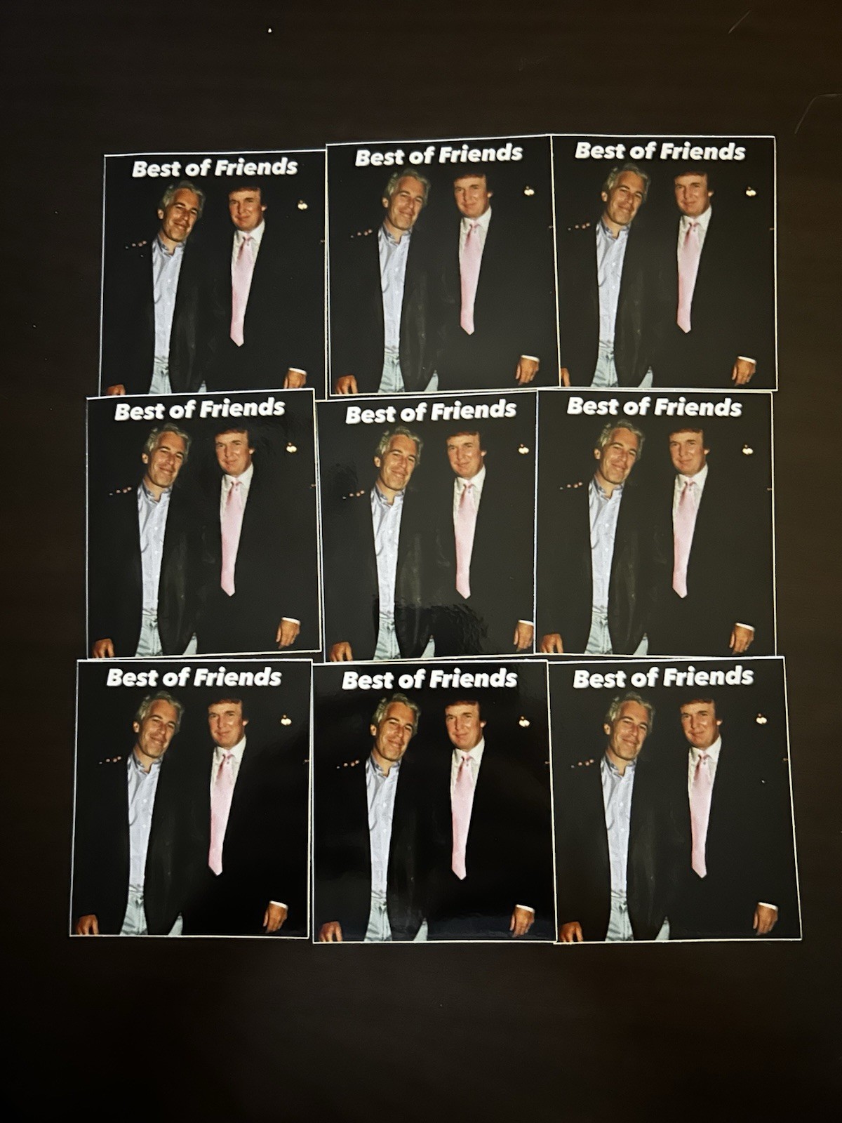 Trump Epstein Best of Friends Sticker 3” 3×3 3”x3” 3 Inch Square